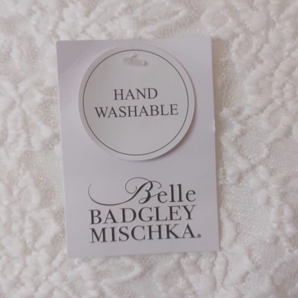 Belle Badgley Mischka Dresses Ivory Lace Lana Dress 14 - Picture 7 of 11